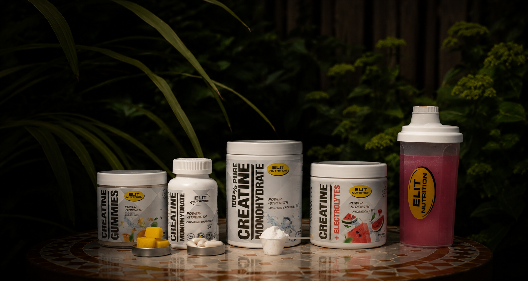 Elit Nutrition